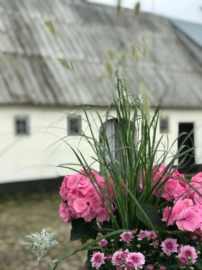 Ferienwohnung Landligt Ophold Pa Midtgard Vamdrup Exterior foto
