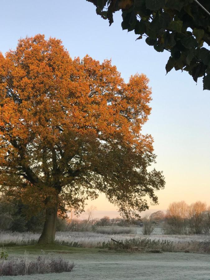 Ferienwohnung Landligt Ophold Pa Midtgard Vamdrup Exterior foto